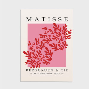 Matisse nr 54