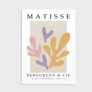 Matisse nr 66