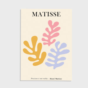 Matisse nr 216