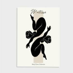 Matisse nr 495