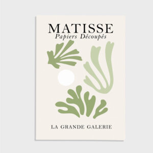 Matisse nr 17