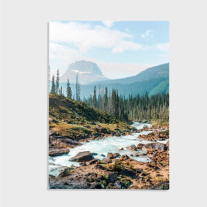 Natur nr 163