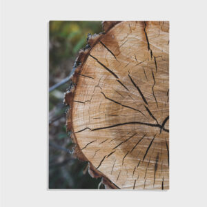 Natur nr 73