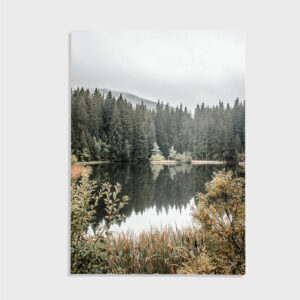 Natur nr 119