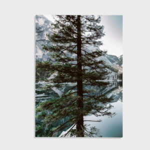 Natur nr 95
