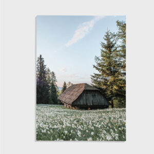 Natur nr 167