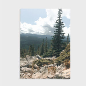Natur nr 110