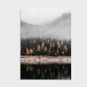 Natur nr 63