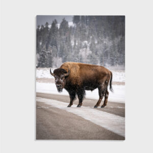 Natur nr 60