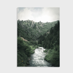 Natur nr 124