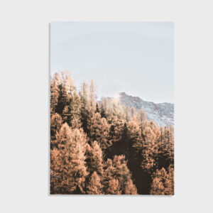 Natur nr 52