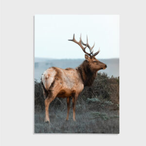 Natur nr 157