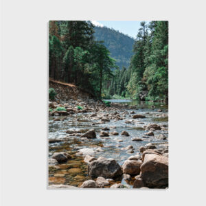 Natur nr 106