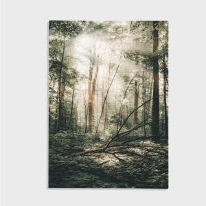 Natur nr 127