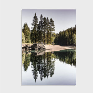 Natur nr 117