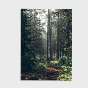 Natur nr 105