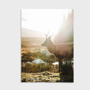 Natur nr 74