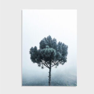 Natur nr 182