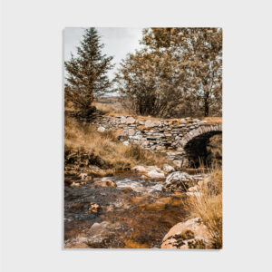 Natur nr 46