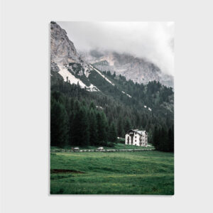 Natur nr 41