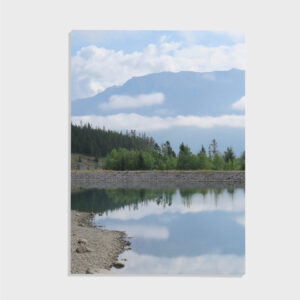 Natur nr 100