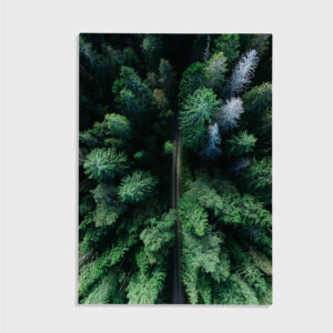 Natur nr 75