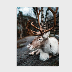 Natur nr 102
