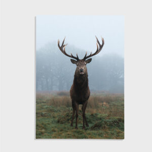 Natur nr 7