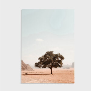 Natur nr 168