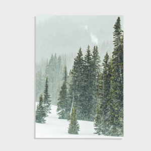 Natur nr 78