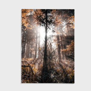 Natur nr 16