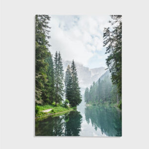 Natur nr 12