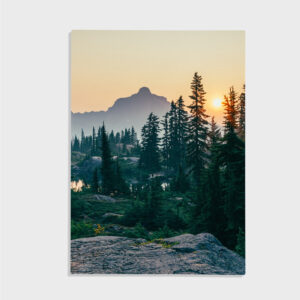 Natur nr 89