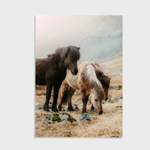 Natur nr 22