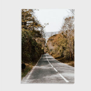 Natur nr 131
