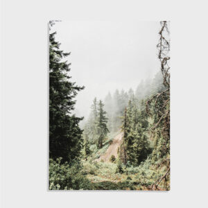 Natur nr 122