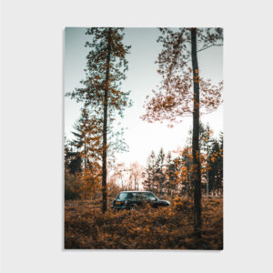 Natur nr 108