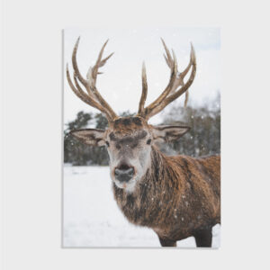 Natur nr 20