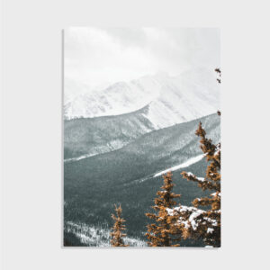 Natur nr 144