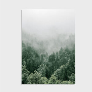 Natur nr 188