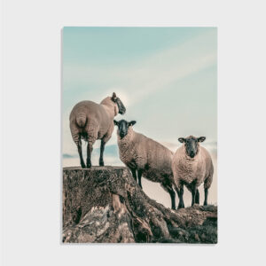 Natur nr 71