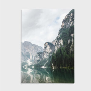 Natur nr 36