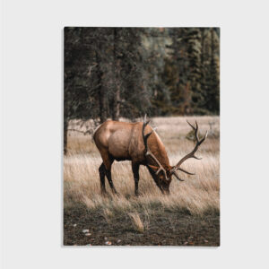 Natur nr 111