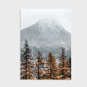 Natur nr 54