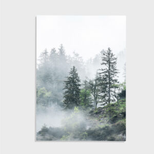 Natur nr 37