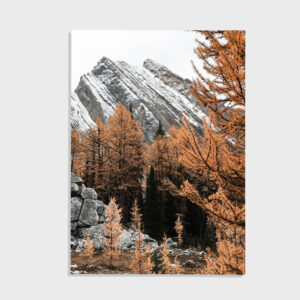 Natur nr 135