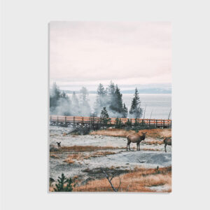 Natur nr 187