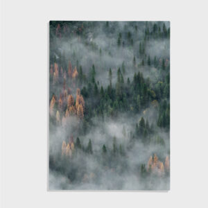 Natur nr 72