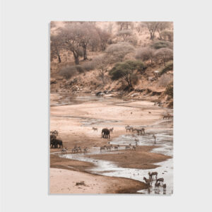 Natur nr 142