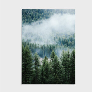 Natur nr 10